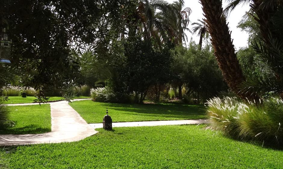 L'Ma Lodge Skoura Kültér fotó
