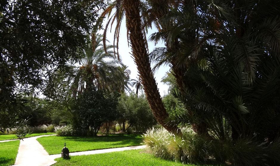 L'Ma Lodge Skoura Kültér fotó
